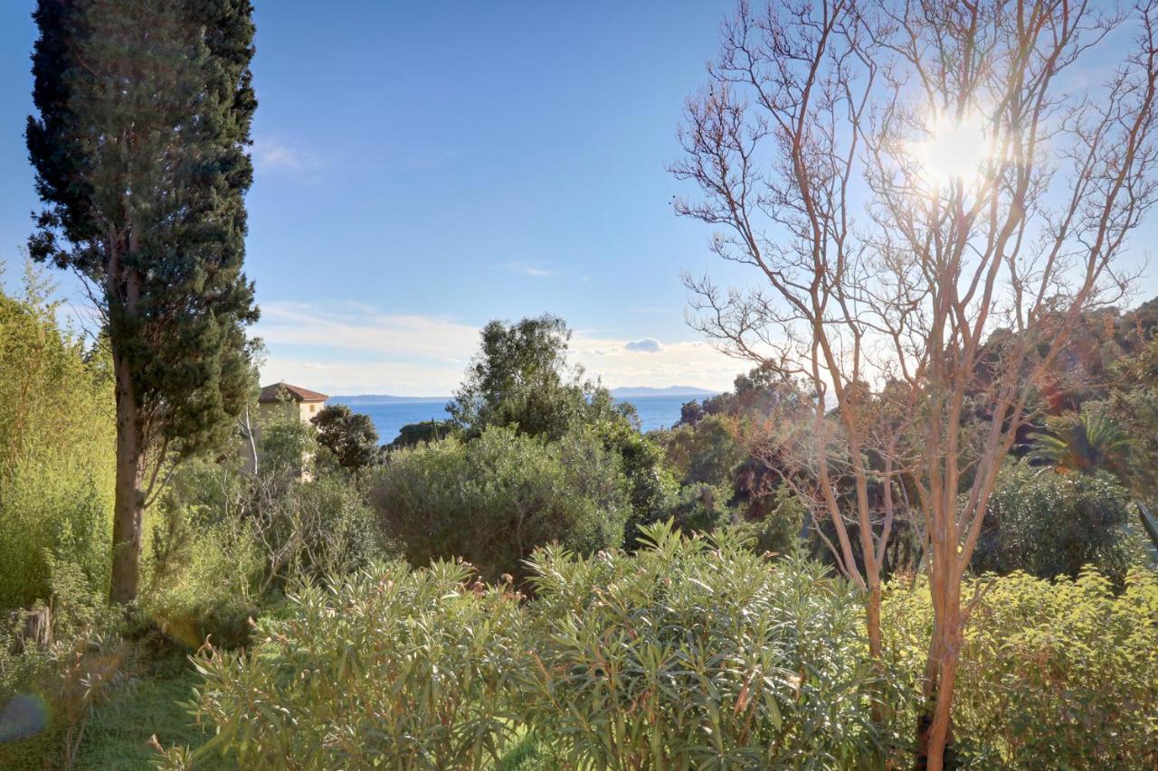 Le jardin de Neptune Le Le Rayol-Canadel-sur-Mer Buitenkant foto